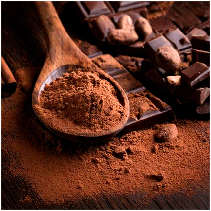 Chocolate Cocoa flavour Powder